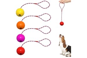 PROTA Hund Wurfball, 4 Stück Bälle mit Seil Naturkautschuk Ball für Hunde Hundespielzeug Ball Hundeball Weich und Elastisch Vollgummiball für Große und Kleine Hunde Wurffang