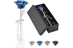 QGJNSGC Urnas de Recuerdo de Flores Rosadas para Cenizas humanas, medallón de urna Conmemorativa, Tallo Largo de Flores de Rosa Coloridas urnas de cremación, urna funeraria para Cenizas Adultas cremación