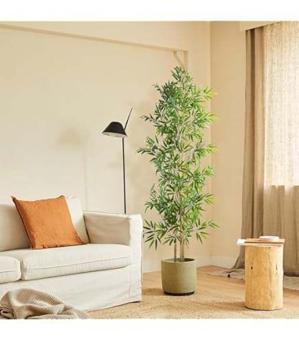 Ficus Umbrellata H120cm Avec Pot – Edg Par Enzo De Gasperi (Neuf)