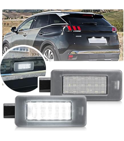 2 Ampoules LED Blanches Pour Plaque D'immatriculation Peugeot/Citroen - Type T10 (W5W), 6000K, 2W - Compatible 106, 207, 307, C2, C3, C4, Etc.