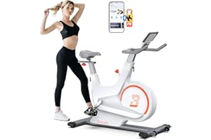 160KG Cyclette Professionale-Bonvork Bicicletta ad attrito Indoor da Camera con Schermo LCD e 2 sedili per Fitness ed Esercizio a Casa