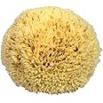 CROLL & DENECKE P120 - Spugna naturale dal Mar Mediterraneo, qualità premium, dimensione 12 cm