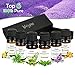 Produktbild Ätherische Öle, YEGU 100% Reine Natur Duftöle Aromatherapie Öl Geschenk Set 6x10ml Ätherisches Öl (Lavendel, Orange, Minze, Eukalyptus, Teebaum, Zitrone) Raumdüfte für Aromatherapie/Diffuser