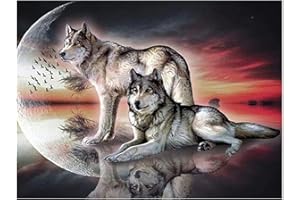 DCIDBEI Diamond Painting Full Groß 2 Wölfe Eckige Steine 50x40cm Tiere Diamond Painting Bilder Malen nach Zahlen Stitch Mit Diamond Painting Zubehör Bastelset Erwachsene Kinder Diamant Mosaik für Haus Decor