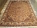 Produktbild Bereich Teppiche Beige Tan Flowral Rechteck handgeknotet Seide Wolle Teppich (9 x 6) '