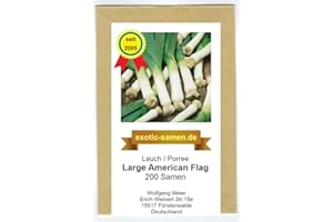 EXOTIC-SAMEN Lauch, Porree - früh - Sommersorte - Large American Flag - 200 Samen