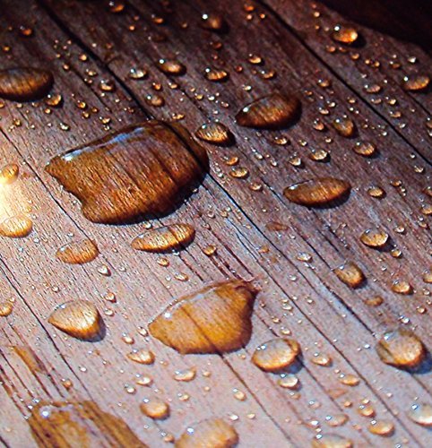 Farben-Budimex Profi Industrie Bambusschutz / farblos / 2,5 L / Spezialprodukt v. Holzfachhandel / sehr hoher UV-Schutz verhindert Rißbildung, Austrocknung und schützt optimal Ihr Bambusholz vor Vergrauung / Empfohlen für Industrie u. Handwerk - 4