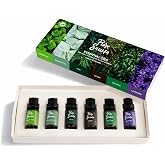 Pure Sauna Saf 6&rsquo;lı U&ccedil;ucu Yağ Seti - &Ouml;zel Se&ccedil;ki Buhurdanlık ve Dif&uuml;z&ouml;r Kokusu (6 x 10 ml)