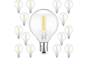 WESKJER G40 Lampadine LED di Ricambio 0,6 Watt G40 Globe Glass Bulbs E12 Base Socket Holder IP44 impermeabile bianco caldo per la luce di stringa Home Party Wedding Decoration, 15 Pack(Tensione: 220-240V)