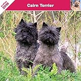 Image de CALENDAR 2016 - CAIRN TERRIER - AFFIXE