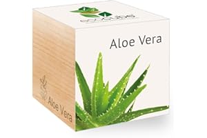 Feel Green - Ecocube, Aloe Vera, Idea Regalo (100% Ecologica), Kit per Far Crescere la Propria pianta, Piante in cubi di Legno da 7,5 cm, Prodotto in Austria