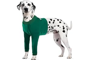 CITÉTOILE Manchon de Récupération Chirurgicale Chien, Protection Contre Les blessures à la Jambe Avant pour Chien de Taille Moyenne et Grande, Vert, L