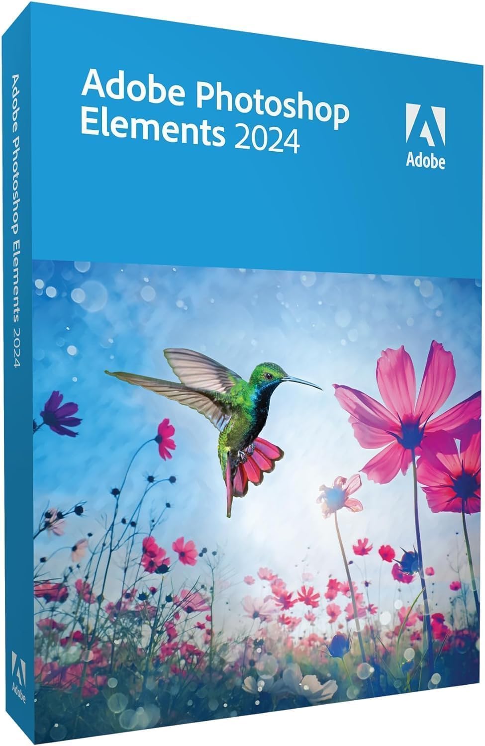 Rapport Qualité / Performances du Adobe Photoshop Elements 2024 1 enhet PC Mac