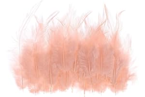 PATIKIL 3-6 Inch Saddle Hackle Rooster Feather, 100 Pcs Bulk Natural Feathers Fluffy Craft Feathers for Dream Catcher Earrings Pendant, Pink