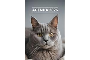 AGENDA 2026 - CHAT: Petit format de poche | 4 langues | Janvier à Décembre 2026 | 52 semaines | 1 semaine sur 2 pages | Format pratique 10x15 cm, 115 pages | Fantaisie, original | Cadeau à offrir