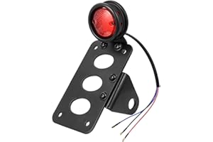 Amazicha LED Tail Rear Light 3/4" Axle Hole Side Mount License Plate Bracket Brake Light Motorcycle Compatible for Harley Honda Yamaha Suzuki Chopper Bobber