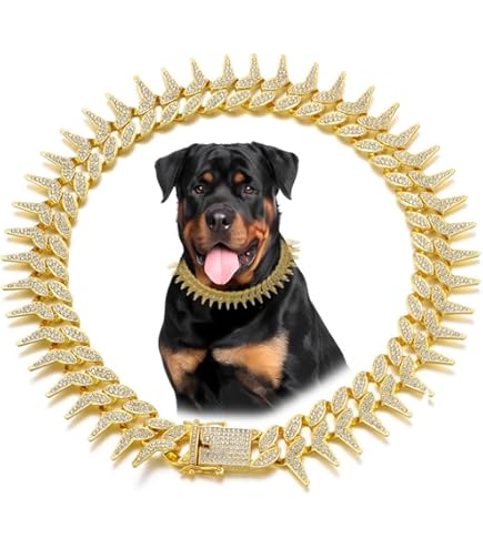 Gold Chain Dog Chain Amazon Dog Bell Aiyidi Heavy Duty Collar