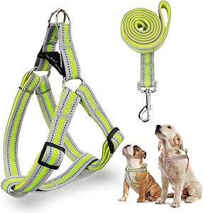 dog accessories daraz