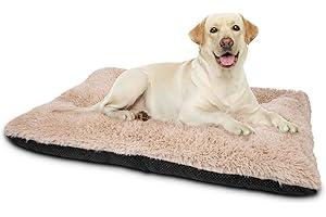 JOEJOY Letto per cani di taglia media, 73x45cm Tappetino per cani lavabile Cuscino per cani soffice, Materasso per cani morbido e confortevole, Letto per cani anti ansia Tappetino antiscivolo Beige