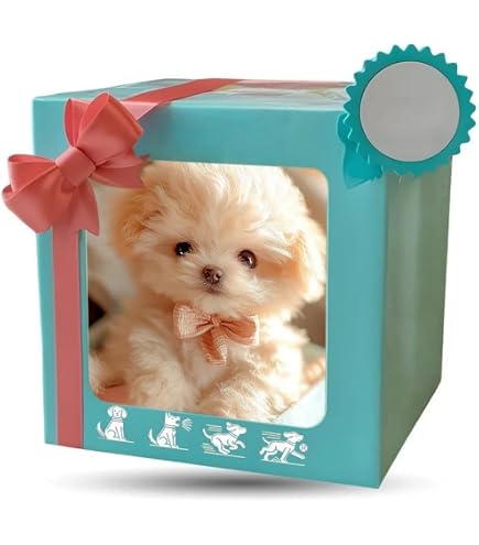 Cane Giocattolo Yorkie Realistico – Cucciolo Imbottito Simulazione – Compagno Morbido Per Bambini