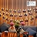 Produktbild LED Foto Clip Lichterkette (Remote & Timer, 8 Modi),WERTIOO 50 Photo Clips 5M Batteriebetriebene Stimmungslichter für Party, Weihnachten, Dekoration,ideal für hängende Bilder,Hochzeit (Warmweiß)