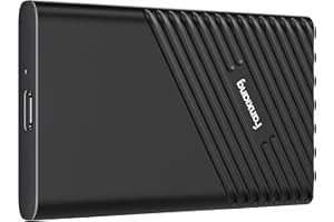 fanxiang Externo SSD 4 TB SSD 4tb portátil Disco Duro Externo 4 TB, hasta 2000MB/s, Tipo 3.2 Gen2x2 20Gbps Tipo C para Computadora de Escritorio y Portátil, PC, XS, Windows