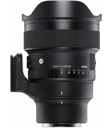 Sigma 20mm F1.4 DG DN Art Lens for Sony E Mount Mirrorless