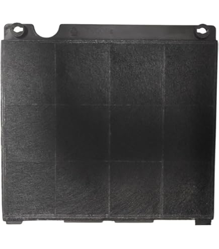 Vhbw 2x Filtres à Charbon Actif Compatible Avec Electrolux 94205123301 94205123302 94205123401 94205123402 94202274500 Hotte Aspirante 82043506