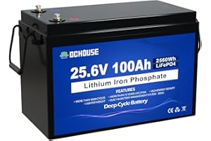 ‎DCHOUSE DCHOUSE 24V 100Ah LiFePO4-Lithiumbatterie, wiederaufladbar mit über 4000-fachen Tiefenzyklen und BMS-Schutz für Solaranlage, Wohnmobil, Boot, Haushalt, Solarpanel-Set und Camping