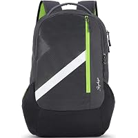 Skybags Tekie 06 30 Ltrs Grey Laptop Backpack (TEKIE 06)