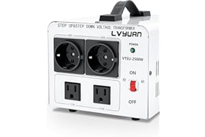 Cantonape 2500VA Convertidor de Voltaje - Salida 110/220 Voltios CA -220v-110v Transformador de Núcleo Toroidal EEUU de 2500 Vatios