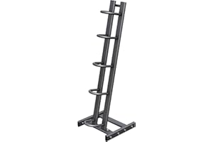 GORILLA SPORTS® Supporto per Palle Mediche - Rack per 5 Palle da 1kg a 5kg, 5 Ripiani, Carico Massimo 100kg, Stabile - Rastrelliera, Porta Pesi, Medicine Ball, Slam Ball, Palestra, Fitness