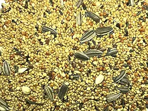 KOO Retails Small Bird Feeder 8-10 Type Mixed Seeds for Finches, Sparrow, Budgies, Lovebirds etc. 1kg