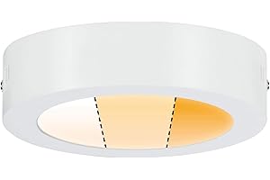 Paulmann 79790 LED Panel Carpo okrągły w kompl. ściemniana lampa sufitowa 1x10,2 W biała matowa oprawa sufitowa metal lampa do salonu 2300 K