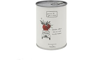 MAUVAISESGRAINES-KITS À SEMER Mauvaises Graines - Noël - Kit de Plantes à Semer en Boîte - Kit de Culture à Offrir comme Cadeau Original Amis Famille Fêtes - Ultra Simple à Utiliser - 100% Fabriqué en France (Destination ailleurs)