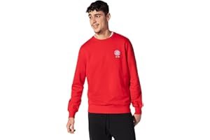 FC Bayern München I Sweatshirt Essential I Herren I Rot