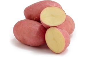 Red Potatoes || 4KG || FPG4U || £11.99 ||