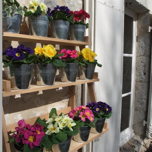 Plant Theatre – Das Zinktopf-Set, der perfekte Begleiter für das Plant Theatre - 6