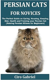 Cat Adoption Singapore How Much Does It Cost To Keep A Cat