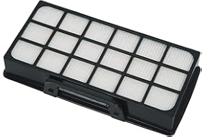 Rowenta Accessoire Filtre après moteur pour aspirateurs traineaux Rowenta, Haute Performance, Filtre les particules les plus fines, Certifié pièce d'origine ZR920101