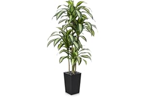 VeriNatural Artificial Dracaena Tree 180 cm - UV-Resistant Realistic Faux Large Green Plastic Fake Plant with Black Taper Planter - Tall Artificial Plants for Home Garden Office Indoor Decor, VN127