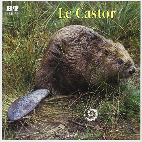 Le  Castor