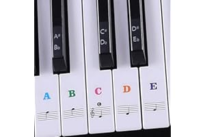 ALLY-MAGIC Piano Stickers, Piano Keyboard Stickers for 37/49/54/61/88 White and Black Keys, Fansjoy Music Electronic Piano Keyboard Note Stickers for for Beginners Kids Learn to Play Y3CSGQT