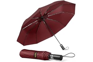 TechRise Paraguas Plegable, Paraguas Automático Resistente al Viento y Compacto con 10 Varillas, Apertura y Cierre Automáticos Con un Botón, Paraguas de Viaje Portátil para Hombres y Mujeres