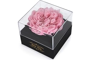 KYLIN GLORY Fresh Cut Flower Preserved Peony for Women Mom Wife Girlfriend - Flower Gift Real Peony Decor for Mother's Day Valentine's Day Wedding Party Celebration Birthday Anniversary (Cherry Pink)