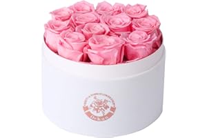 Dekun Rosen-Box Rund Ewige Rosenbox- 12 konservierte Rosen Rot in Box haltbar 1-3 Jahre - Geschenke für Mutter Freundin Ehefrau Oma; Geburtstag Valentinstag Ewige Blume (Rosa)
