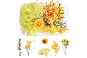 WJIAEER Flores naturales secas en relieve Flores preservadas Resina DIY Joyería Vela Arte de uñas Artesanía Scrapbooking Decoración floral（O）. (K)