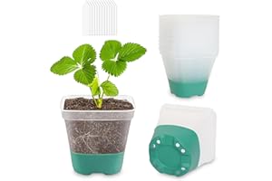 ‎CNNIK CNNIK 12 Stück Anzuchttöpfe mit Silikonboden Blumentopf Plastik Quadrat Setzlinge Anzucht Töpfe Pflanzgefäße für die Pflanzenaufzucht für Innen Außenbereich Grün