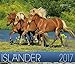 Isländer 2017: Island Pferde by 