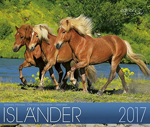 Isländer 2017: Island Pferde